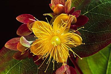 《灵魂骇客2》新TVCM公布 8月25日正式发售